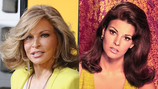 raquel welch net worth